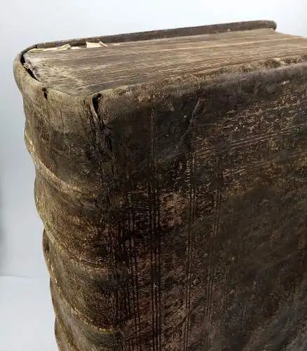 Biblia: Biblia - Altes und Neues Testament, Luther, Martin, 1729, Cotta