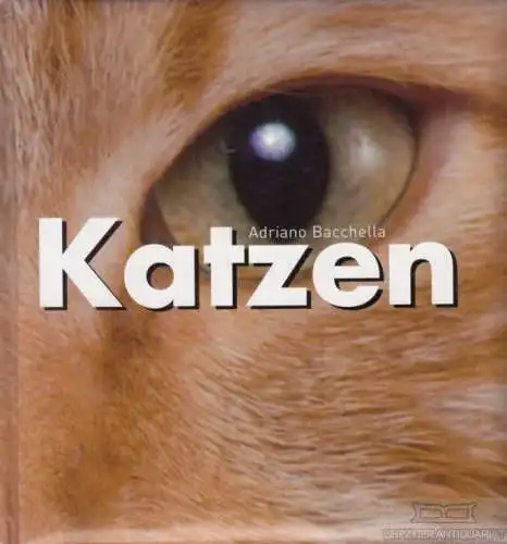 Buch: Katzen, Bacchella, Adriano. 2004, Parragon Books, gebraucht, gut