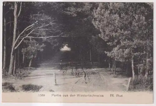 AK Partie aus der Wiedortschneise, Ostsee, Graal-Müritz, Bartelsmann, Postkarte