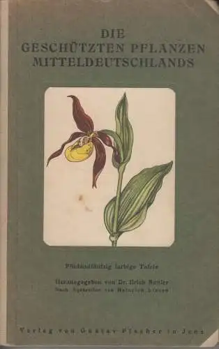 Buch: Die geschützten Pflanzen Mitteldeutschlands, Sattler, Erich. 1931