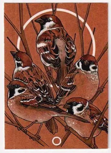 Kunstdruck: Artprint Spatzen / Sparrows, sin.xline, Sina Simbürger, Illustration