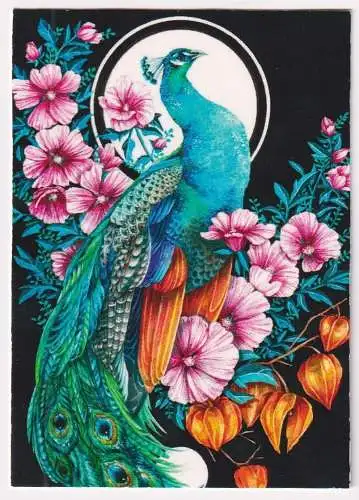 Kunstdruck: Artprint Pfau / Peacock, sin.xline, Sina Simbürger, Illustration