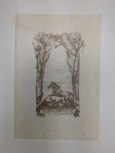 Buch: Die deutsche Plastik des achtzehnten Jahrhunderts. Sauerlandt, 1926, Wolff