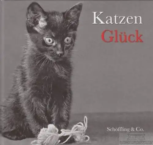 Buch: Katzen Glück, Bachstein, Julia. 2006, Schöfflin & Co. Verlag