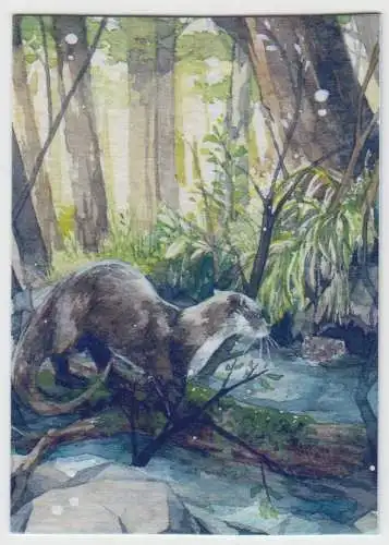 Sammelkarte: Sammelkarte Otter, KaKAO 344, Vetur, Illustration, Manga Art, Karte