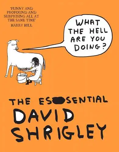 Buch: What The Hell Are You Doing?, Shrigley, David, 2012, Canongate Books