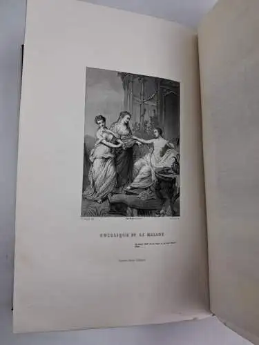 Buch: Oeuvres poetiques de André Chénier, 1884, Garnier Freres, französisch