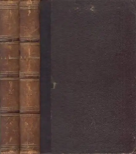 Buch: J. J. Rousseau, Theodor Vogt / E. von Sallwürk (Hg.), 1876, Beyer, 2 Bände