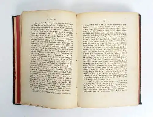 Buch: Geschichte der Stadt Nürnberg, Priem, Joh. Paul. 1875, Verlag Jacob Zeiser