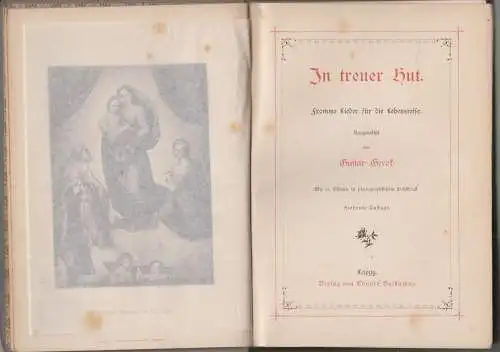 Buch: In treuer Hut, Fromme Lieder für die Lebensreise, Gustav Gerok, Baldamus