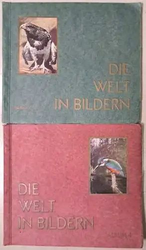 14 Sammelbilder Alben: Die Welt in Bildern, Gestalten der Weltgeschichte ...