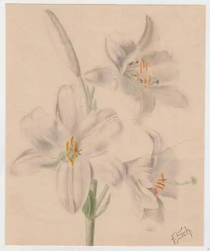 Zeichnung: Unbekannter Künstlernachlass: F. Sch. ca. 1930 Aquarell, Kreide