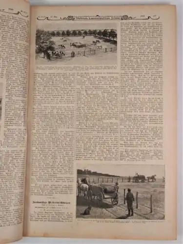 Illustrierte Landwirtschaftliche Zeitung. 39. Jahrgang 1919. 2 in 1 Bände, 1919