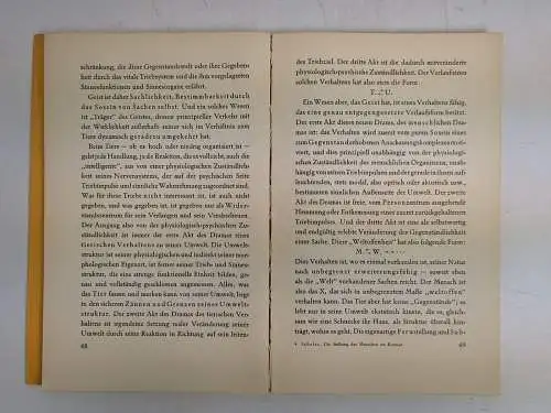 Buch: Die Stellung des Menschen im Kosmos, Max Scheler, 1928, Otto Reichl Verlag