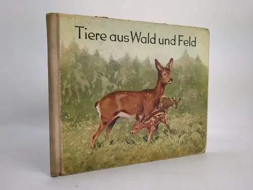Buch: Tiere aus Wald und Feld, Kraft, Ruth. 1954, Verlag Abel & Müller