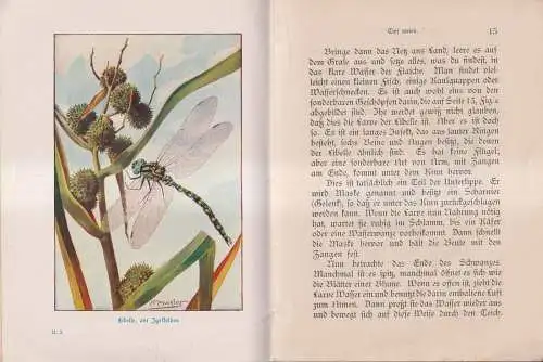 Heft: Am Teich- und Flußufer, Kinderaugen der Natur 2, Buckley, 1910, Gesenius