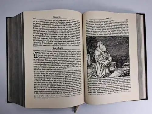 Biblia: Die Bibel, Martin Luther, Bilder v. Rudolf Schäfer, 1929, mit Apokryphen