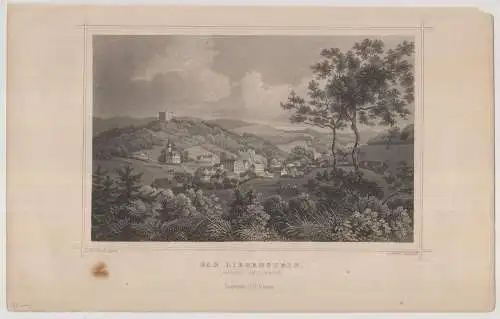 Grafik: Bad Liebenstein, L. Oeder,  L. Rohbock, um 1850, Stahlstich, G. G 346802