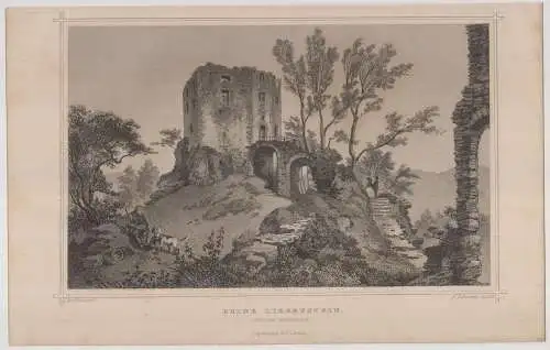 Grafik: Ruine Liebenstein, Original-Ansichten der..., Rottmann, Rohbock,  346796