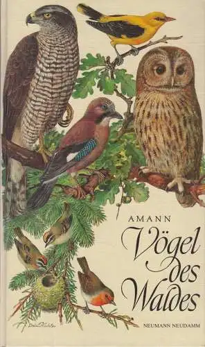 Buch: Vögel des Waldes, Amann, Gottfried, 1986, Neumann-Neudamm, gebraucht, gut