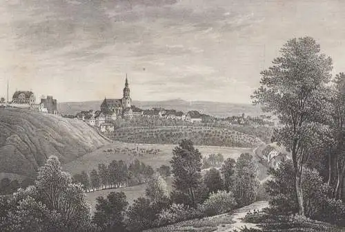 Dohna, 1835, Lithografie. Saxonia, Eduard Pietzsch & Comp., Originalgrafik