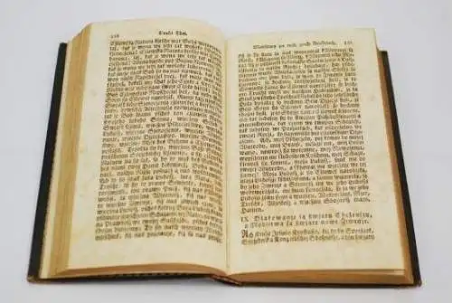 Buch: Jana Arndta, Arndt, Jan. 1841, F.A. Reichel, gebraucht, gut