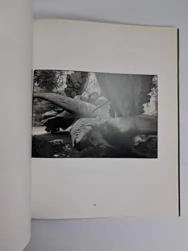 Buch: Sibylle Bergemann - Verwunderte Wirklichkeit, Fotografien, 1992, ex pose