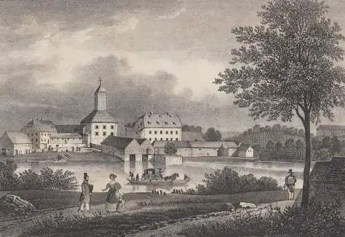 Das Salzwerk zu Dürrenberg, um 1830, Saxonia, Eduard Pietzsch, Originalgrafik