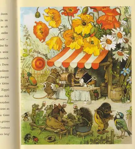 Buch: Gartenfest in Blumenhausen, Heinemann, Erich, 1999, Weltbild, sehr gut
