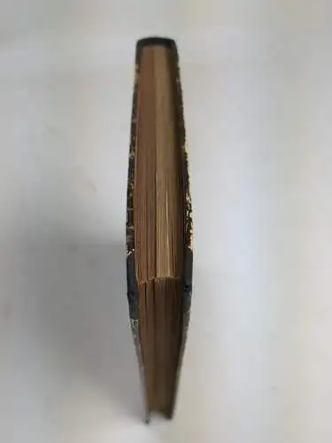 Buch: Baron Mikosch's Erlebnisse / Aus dem Grazien-Archiv / Die Jesuiten