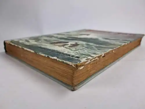 Buch: Prinz Jan, Geschichte eines Bernhardinerhundes, Forrestine C. Hooker