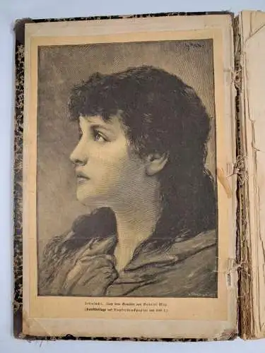 Buch: Johannes Karaseck, Kriminal-Novelle, Alfred von Dornburg, 1891, H. Oeser
