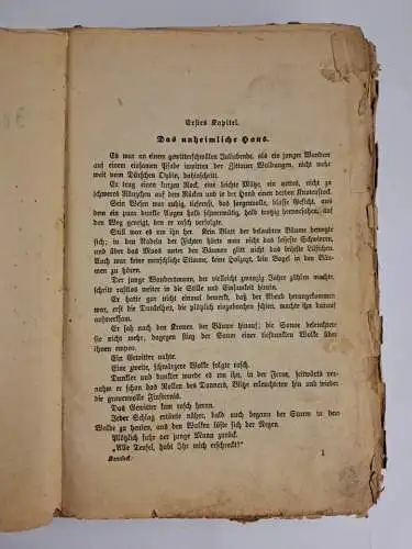 Buch: Johannes Karaseck, Kriminal-Novelle, Alfred von Dornburg, 1891, H. Oeser
