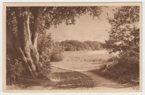 AK Hinein ins weite herrliche Land, Hermann A. Wiechmann, Goslar, Postkarte