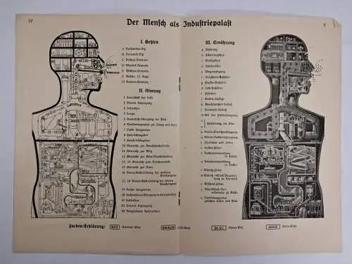 Buch: Das Leben des Menschen, Kahn, Fritz. 5 Bände, 1926 ff, Kosmos / Franckh