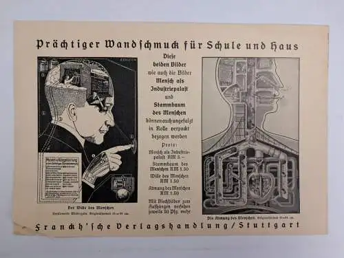 Buch: Das Leben des Menschen, Kahn, Fritz. 5 Bände, 1926 ff, Kosmos / Franckh