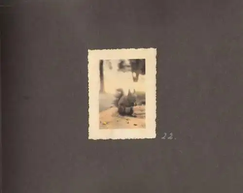Buch: Einzigartiges Fotoalbum: Ein fideles Gefängnis, Fotoalbum, gebraucht, gut