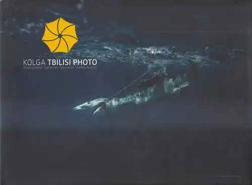 Buch: Kolga Tbilisi Photo, Photo Contest, Exhibition, Education, Communication