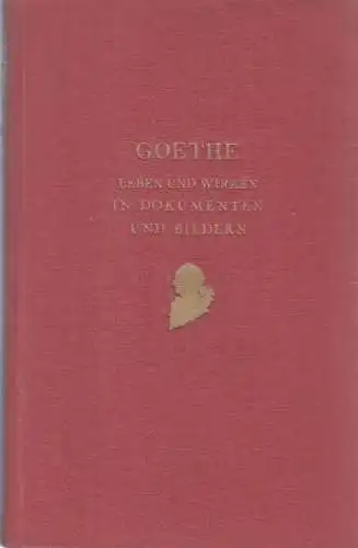 Buch: Goethe, Sein Leben und Wirken. Zellweker, E., Meulenhoff Verlag