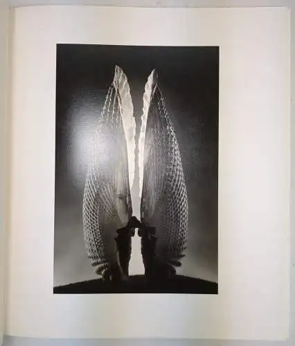 Buch: Ruth Bernhard - The Collection of Ginny Williams, 1993, gebraucht, gut