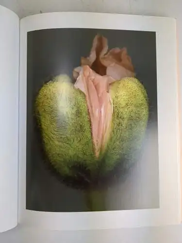 Buch: FloraMagica, Hermann Försterling, 2006, Atelier Försterling, signiert