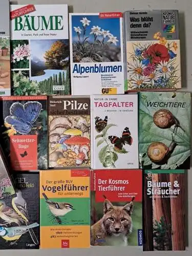 24 Bücher Naturführer & Bestimmungsbücher: Bäume, Kräuter, Falter, Vögel, Pilze