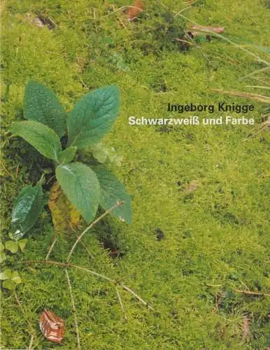 Buch: Ingeborg Knigge  Schwarzweiß und Farbe, 2002, Stiftung Demokratie Saarland