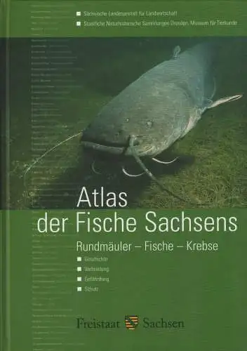 Buch: Atlas der Fische Sachsens, Füllner, Gert u.a., 2005, Sächsisches Landesamt