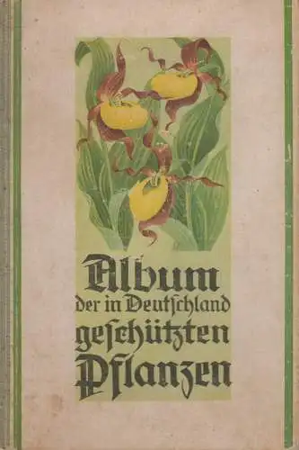 Buch: Album der in Deutschland geschützten Pflanzen, Erich Schröder, Bermühler