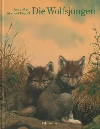 Buch: Die Wolfsjungen, Maar, Anne u.a., 1999, Ellermann, gebraucht, sehr gut