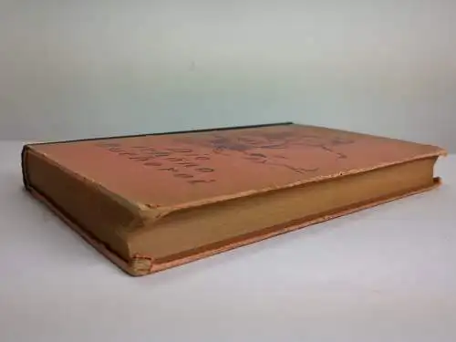 Buch: Die schöne Bücherei 1918, Tiedemann & Uzielli, 1917, gebraucht, gut