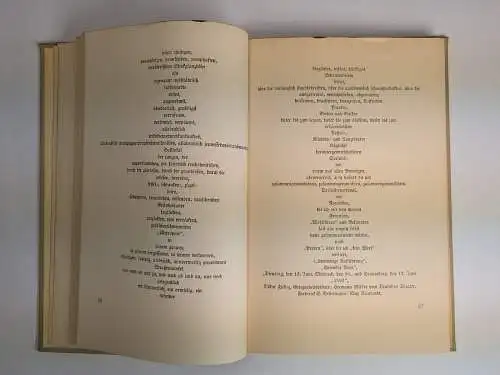 Buch: Ecce Poeta, Phantasus, Arno Holz, 1925, Dietz Verlag, gebraucht, gut