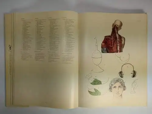 Buch: La Medicina Pittoresca - Farbige Tafeln aus der Medizin, A. L. G. Bayle,