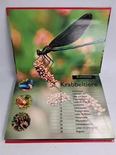 Pop-Up-Buch: Krabbeltiere, Jen Green, 2013, Dorling Kindersley, Natur, Biologie